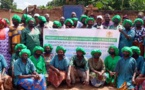 Tchad - Mandoul : Les femmes productrices de karité boostent leur savoir-faire grâce à Dignité Internationale