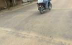 Tchad : à N'Djamena, des dos d'ânes non peints à l'origine des cas d'accidents