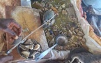Tchad : les tripes de viande, un aliment indispensable pour les habitants de N’Djamena