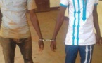 Cameroun : de grands trafiquants d'ivoire arrêtés