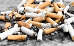 Le rapport sur l'état mondial de la réduction des risques liés au tabac montre comment réduire le nombre de décès Le rapport sur l'état mondial de la réduction des risques liés au tabac montre comment réduire le nombre de décès