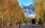 Zoom into China's integrated urban-rural development via rural road infrastructure