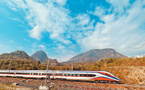 Three years on, China-Laos Railway keeps unleashing vitality