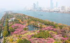 5A-level scenic area in China's Hunan province embraces low-carbon development