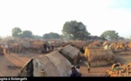 Centrafrique: Batangafo, stuck in an endless crisis