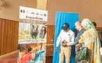 L'art au service de la nature : une exposition exceptionnelle pour préserver la biodiversité du Tchad
