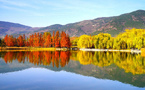 China strives to safeguard beauty of biodiversity