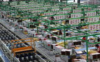 Luochuan apples: a Fruitful path to prosperity