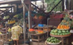Cameroun : le salon du  machinisme agricole se prépare