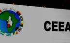 La CEEAC est engagée dans le processus politique et la stabilité de la Centrafrique, selon le chef de la MINUSCA