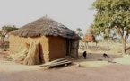 Tchad : Le conflit agriculteurs-éleveurs fait rage à Agana, bilan lourd