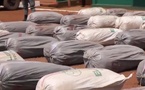 Cameroun :  près de 8 tonnes de cannabis saisis par la Gendarmerie dans la région de l’Ouest