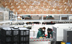 China's view of international order reflected in stories of two "apples"