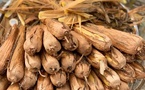 Le Tchad, terre de saveurs : Découvrons nos produits locaux