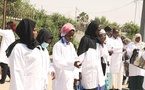 Tchad : l’ONAPE appuie les jeunes diplômés avec le déploiement dans des institutions