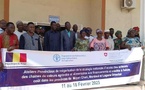 Tchad : au Moyen Chari, un atelier de vulgarisation de la stratégie nationale d'accès aux financements agricoles