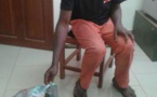 Cameroun : Un trafiquant d'écailles de pangolins aux arrêts à Belabo