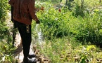 Tchad - Les jardiniers de Ndjari crient famine : le manque d'eau menace la production maraîchère