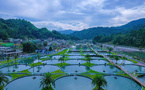 China's new specialties: weaving Chinese flavors into world's tables