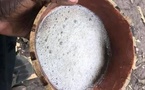 Tchad : La "bili" dans les cabarets : un loisir inquiétant pour les jeunes du 9ème arrondissement de N'Djaména