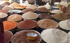 Tchad : doit-on compter sur l’extérieur pour résoudre le problème de famine ?