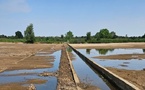 Tchad : L'UE et le HCR améliorent la production agricole grâce aux seuils d'épandage à Farchana