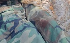 Tchad : un commandant de la GNNT tué et son aide de camp blessé à Tissi