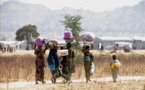 Cameroun: Extrême nord, Boko Haram pèse lourd sur une économie en berne