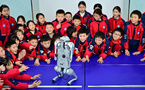 Will AI replace human jobs? A new look at the debate