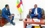 RCA : Le Président Touadéra reçoit le groupe Project Partner pour un projet industriel et logistique