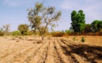 COP21: Des grands projets d'envergure pour sauver les sols d’Afrique