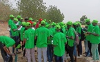 Tchad - Université de Moundou : Les étudiants en géographie explorent les merveilles du lac Léré