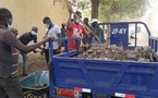 Tchad : Moundou se mobilise avec une opération de nettoyage au marché à mil