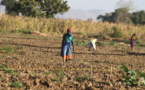 Développement durable, un véritable défis du XXIe Siècle