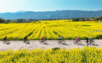 Booming 'spring economy' reflects vibrancy of China's consumer market