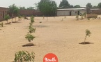 Tchad : Lancement du Club d’Action Climatique à N’Djamena par Youth Conservation et Green Team Tchad