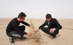 In Xinjiang's desert, roses bloom to fight sand and boost livelihoods