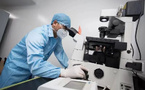 Turning immune cells into cancer's worst enemy: China's CAR-T revolution