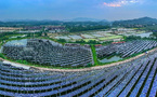 China's green power trading gathers momentum