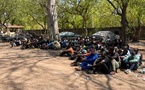 Cameroun - Garoua : Coup de filet de la Sûreté Nationale au secteur Cinéma Ribadou
