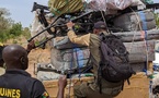 Cameroun : Saisie de contrebande dans la région du Nord grâce à une collaboration fructueuse entre la douane et l'armée