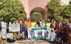 Tchad : L'UNOSOC-CT mène une opération de salubrité au gouvernorat de N'Djamena