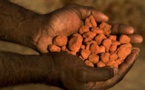 BILAKORO Mining CO. Et les cadavres politiques !