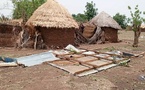 Tchad : Un éléphant en divagation et une tornade dévastent Kassélem Centre
