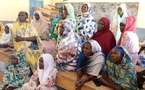 Tchad : au Guéra, lancement d'une formation en techniques artisanales à Zerli 1