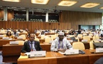Tchad : La Commission d'Application des Normes de l'OIT formule des recommandations sur le travail des enfants