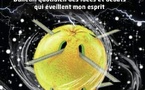 Professeur René Joly Assako Assako :  dans l’orage de ses silences