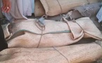 Tchad : drame sur le lac Fitri, 11 morts dans le renversement d’une pirogue dans le Batha