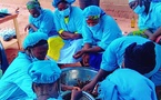 Tchad : au Mandoul, le néré est le nouveau levier d’autonomisation des jeunes