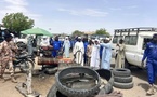 Tchad : Le Park d'Adré en cours de réorganisation, fin du désordre